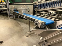 Opvoer transportband met afvoerband - afbeelding 3 van  12