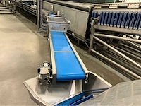 Opvoer transportband met afvoerband - afbeelding 4 van  12