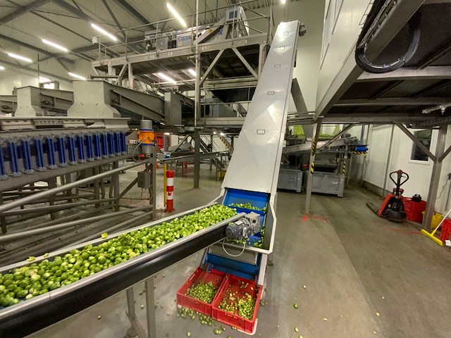 Opvoer transportband met afvoerband - afbeelding 7 van  12