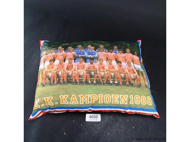 Oranje kussen - afbeelding 1 van  3