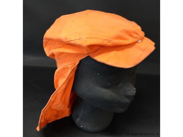 Oranje pet - afbeelding 3 van  3