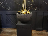 Orchidee in pot op sokkel - afbeelding 1 van  6