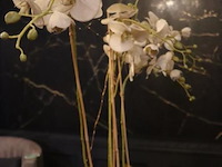 Orchidee in pot op sokkel - afbeelding 2 van  6