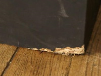 Orchidee in pot op sokkel - afbeelding 6 van  6