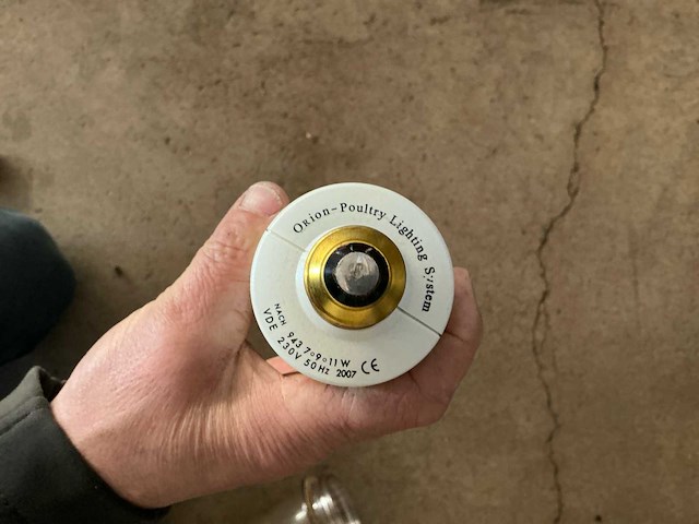 Orion poultry lightning - compact fluorecent (cfl) 28 stuks - afbeelding 3 van  6
