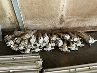 Orion poultry lightning - compact fluorecent (cfl) 28 stuks - afbeelding 1 van  4