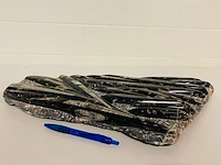 Orthoceras fossielplaat op standaard - afbeelding 6 van  7