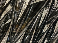 Orthoceras fossielplaat + standaard - afbeelding 4 van  6