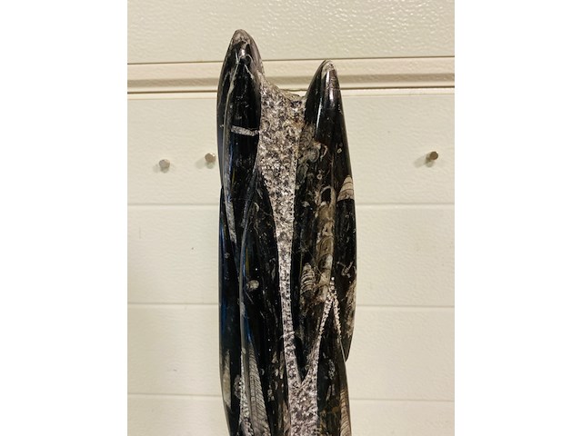 Orthoceras toren xxl - afbeelding 4 van  6