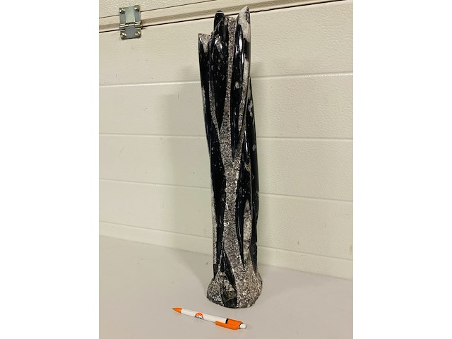 Orthoceras toren - afbeelding 2 van  9