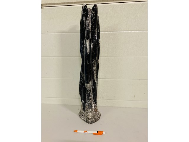 Orthoceras toren - afbeelding 4 van  9