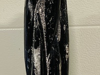 Orthoceras toren - afbeelding 5 van  9