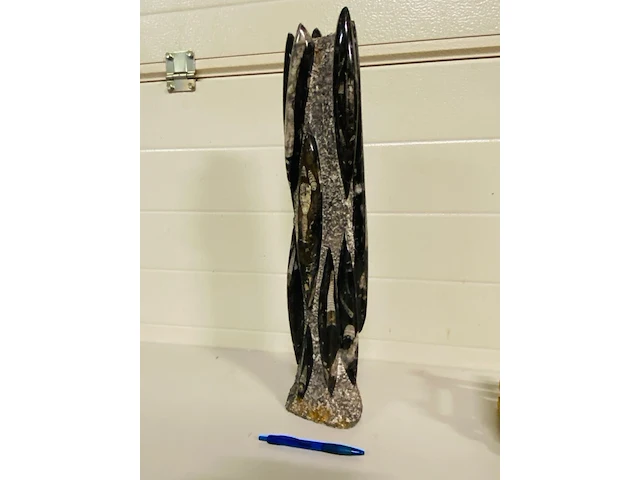 Orthoceras toren - afbeelding 1 van  9