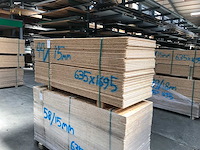 Osb platen 15mm 635x1690mm (44x) - afbeelding 3 van  4
