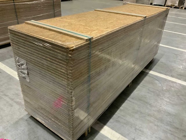 Osbplaat 2500x675x22mm gbf4 (41x) - afbeelding 4 van  6