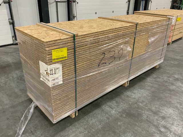Osbplaat 2500x675x22mm gbf4 (41x) - afbeelding 2 van  9