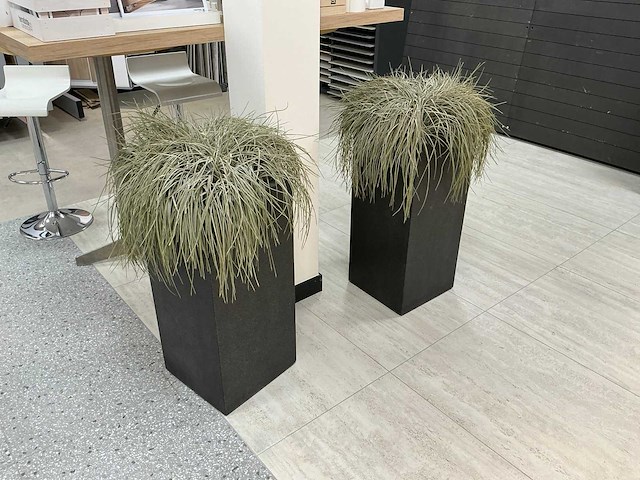 Oshimensis kunstplant (2x) - afbeelding 1 van  3