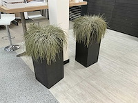 Oshimensis kunstplant (2x) - afbeelding 1 van  3