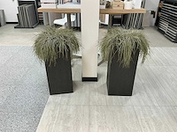 Oshimensis kunstplant (2x) - afbeelding 2 van  3