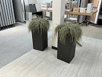 Oshimensis kunstplant (2x) - afbeelding 3 van  4