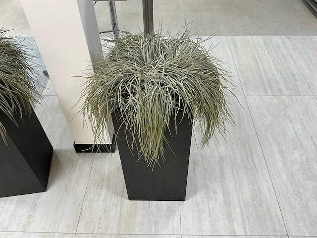 Oshimensis kunstplant (2x) - afbeelding 4 van  4