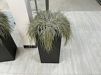 Oshimensis kunstplant (2x) - afbeelding 4 van  4
