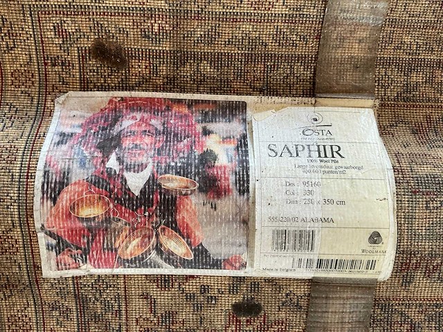 Osta saphir vloerkleed 350x250cm - afbeelding 4 van  4