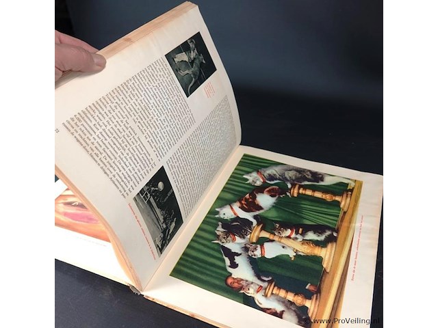 Oud/antiek plaatjesboek. de bonte droom van het circus - afbeelding 4 van  5