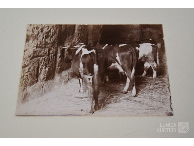 Oude documentatie - afbeelding 3 van  14