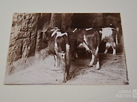 Oude documentatie - afbeelding 3 van  14