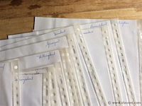 Oude foto's gent recto verso - afbeelding 7 van  7