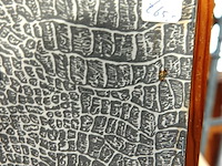 Oude kleuren druk drentse steden - afbeelding 5 van  5