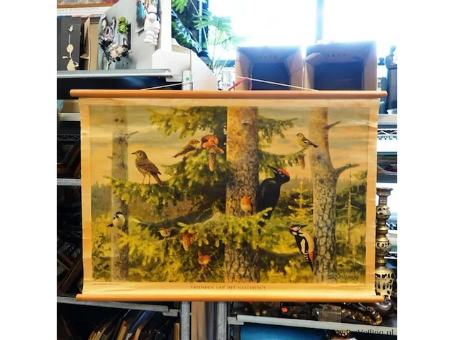 Oude linnen schoolwandplaat met de titel "vrienden van het naaldhout", gebaseerd op een olieverfschilderij van de zweedse kunstenaar thure wallner - afbeelding 1 van  5