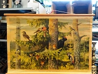 Oude linnen schoolwandplaat met de titel "vrienden van het naaldhout", gebaseerd op een olieverfschilderij van de zweedse kunstenaar thure wallner - afbeelding 1 van  5