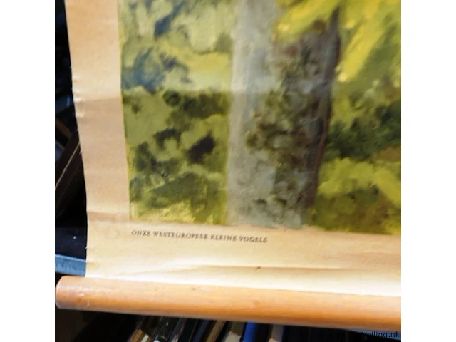 Oude linnen schoolwandplaat met de titel "vrienden van het naaldhout", gebaseerd op een olieverfschilderij van de zweedse kunstenaar thure wallner - afbeelding 2 van  5