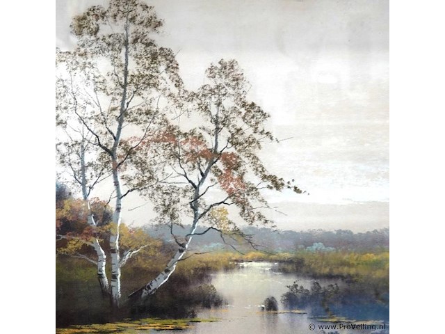 Oude onduidelijke/gemengde?. techniek - afbeelding 3 van  5