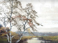 Oude onduidelijke/gemengde?. techniek - afbeelding 3 van  5