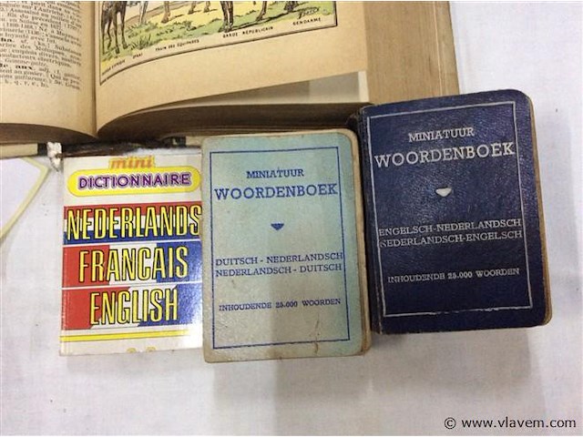 Oude woordenboeken - afbeelding 3 van  3