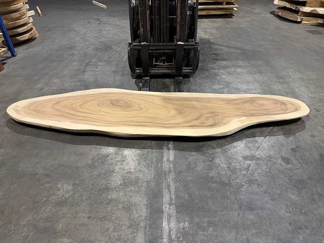 Ovaal boomstam tafelblad 345cm. - afbeelding 2 van  4