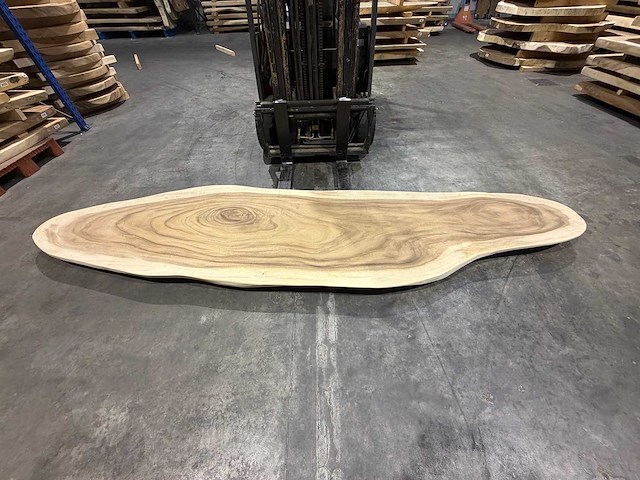 Ovaal boomstam tafelblad 345cm. - afbeelding 3 van  4