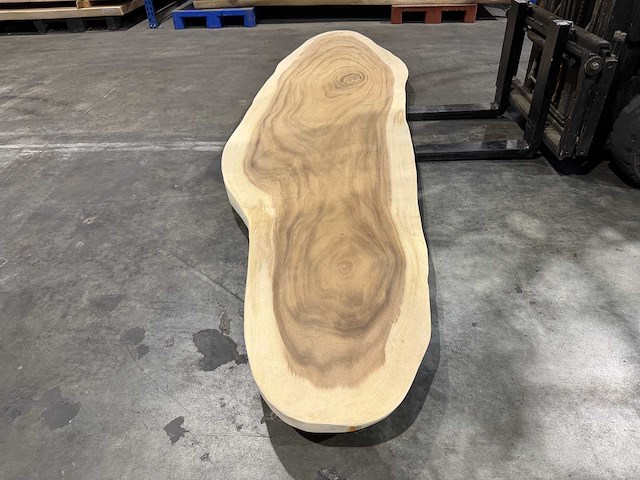 Ovaal boomstam tafelblad 345cm. - afbeelding 4 van  4