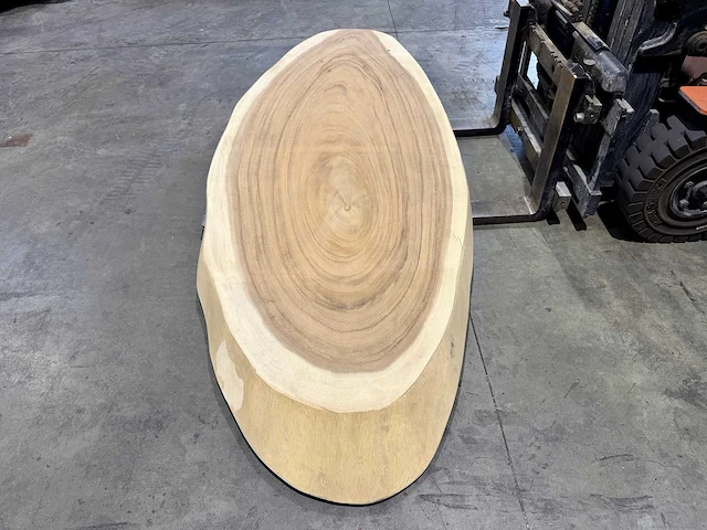 Ovaal suar boomstam tafelblad 250 cm - afbeelding 2 van  2