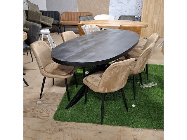 Ovale eetkamertafel met 6x stoel - afbeelding 1 van  7