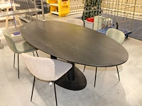 Ovale tafel met vijf stoelen afmeting 240 x 110 cm. hoogte 76 cm