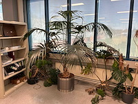 Overige kantoorinventaris - afbeelding 8 van  16