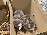 Overige woonaccessoires - afbeelding 8 van  19