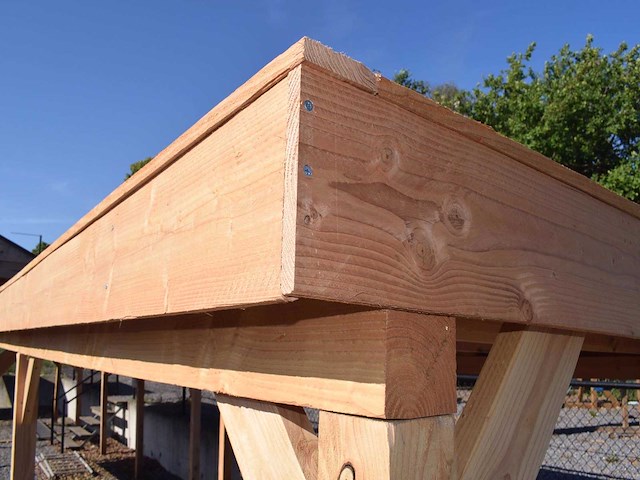 Overkapping met achterwand 400x900 cm - afbeelding 5 van  9