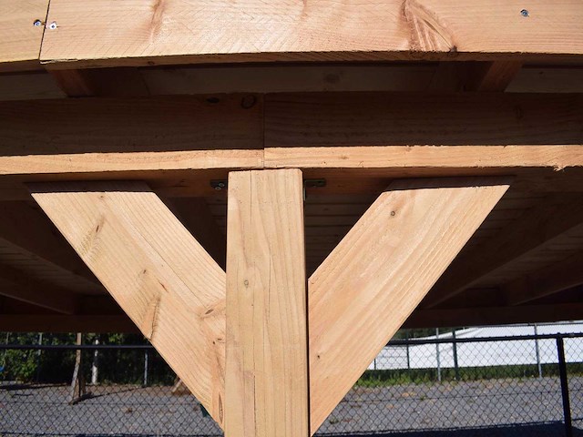 Overkapping met achterwand 500x400 cm - afbeelding 4 van  9