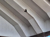 Overkapping zoutloods/zandopslag - afbeelding 2 van  45