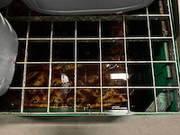 Overtoom 220l lekbak - afbeelding 5 van  5